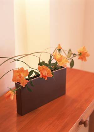 究極のシアタールーム構築術2026年版：夢のホームシアターを実現する最新ガイド