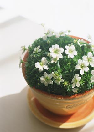 埼玉県さいたま市にあるタカラスタンダード さいたまショールーム：最新キッチンとバスルームを体験できる